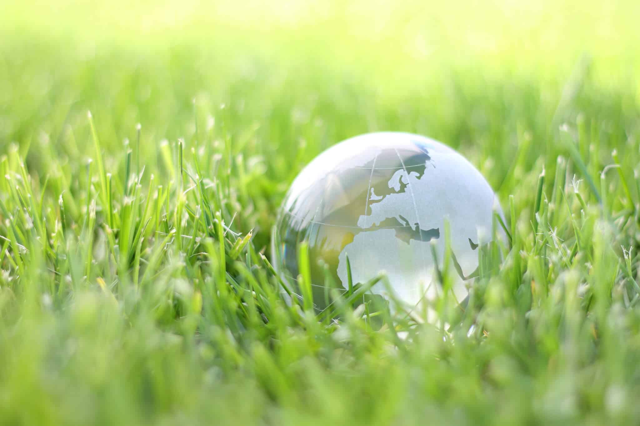 Small transparent earth globe dropped in grass