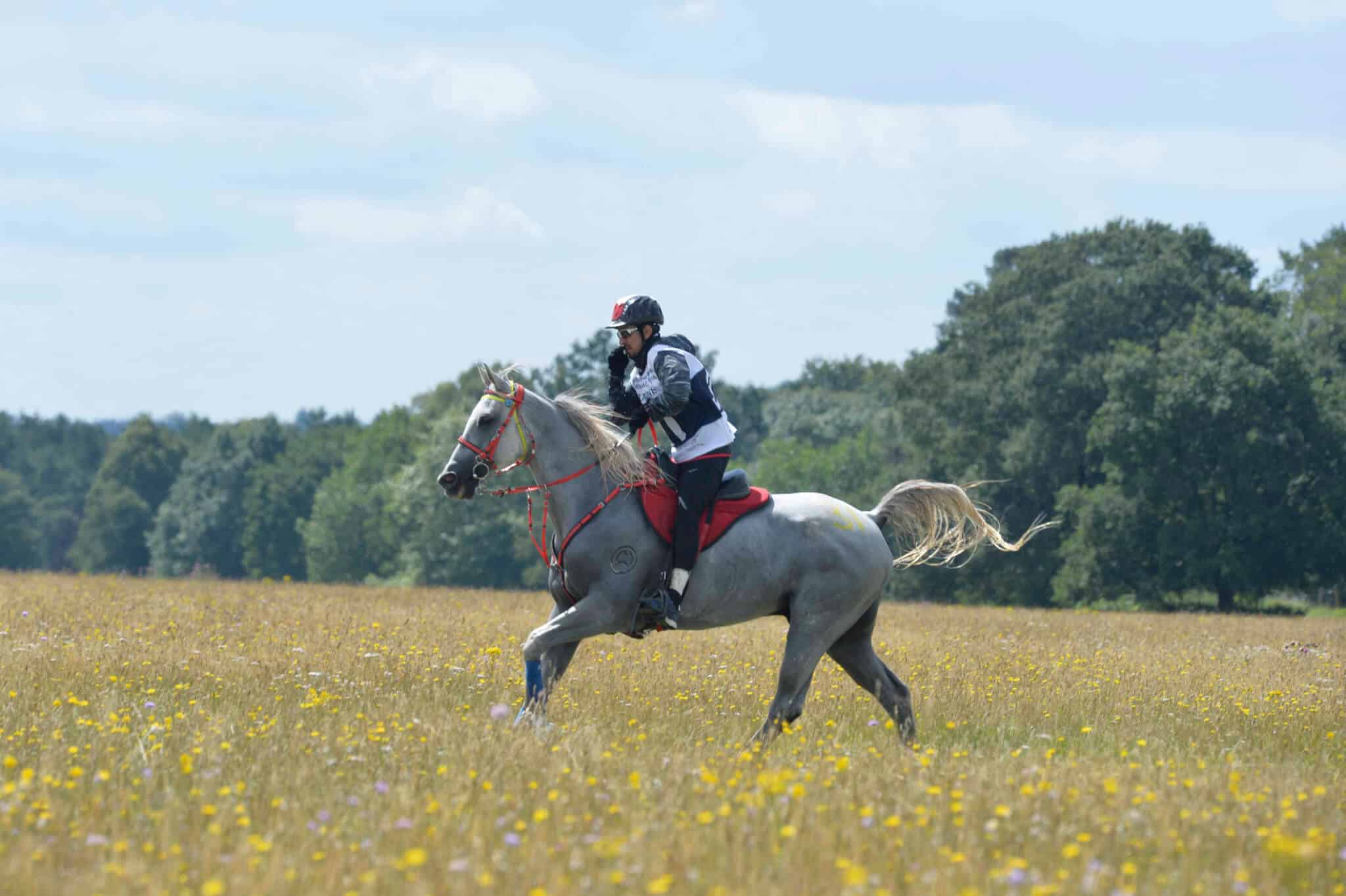 Sport Equestrian endurance