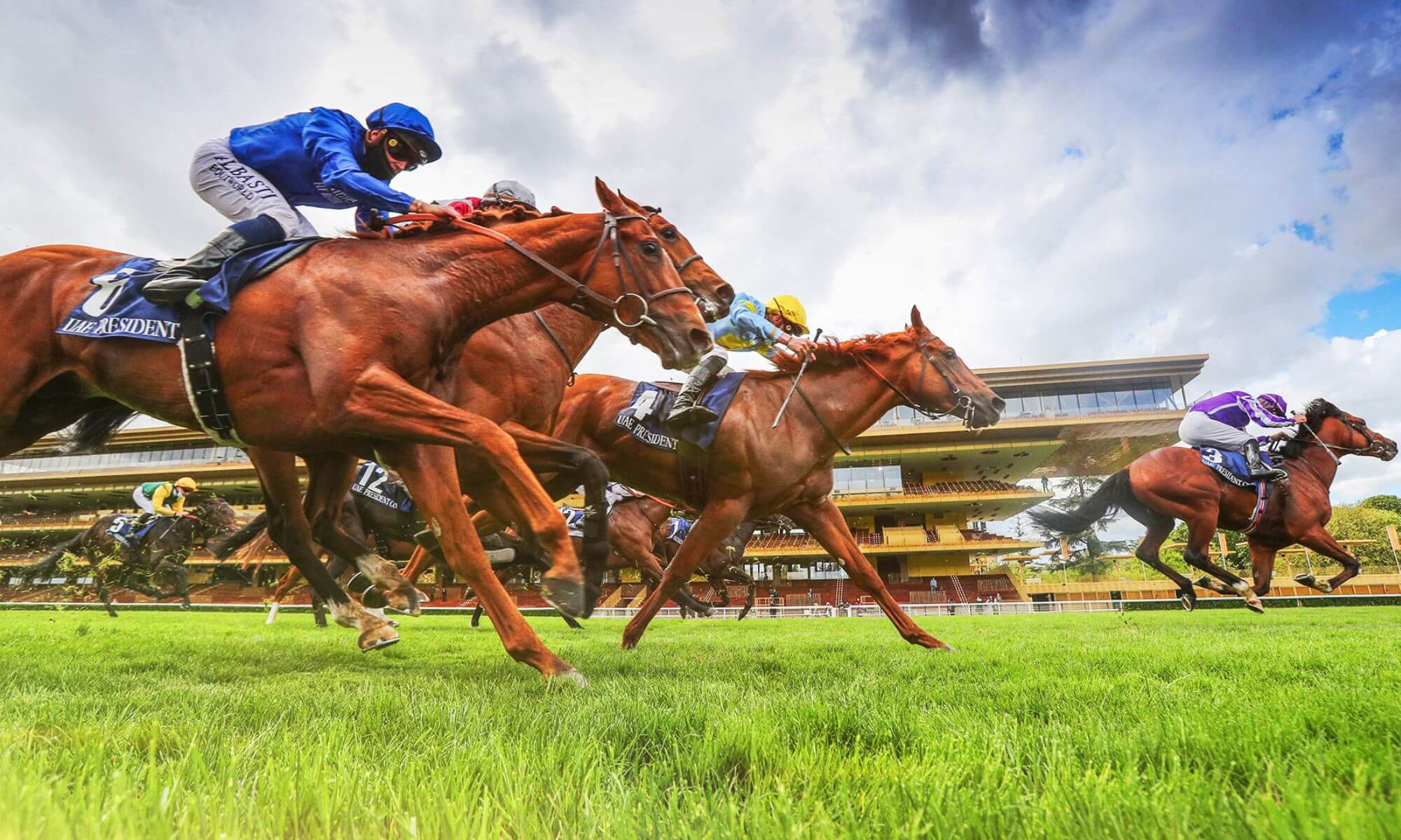 Horse race